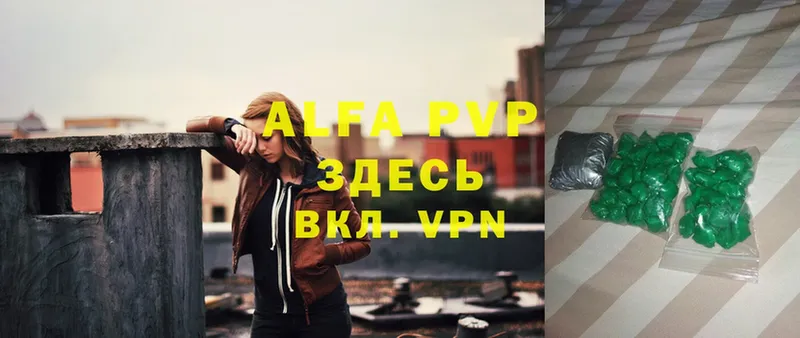 A PVP СК Новосиль