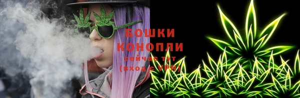 шишки Магас