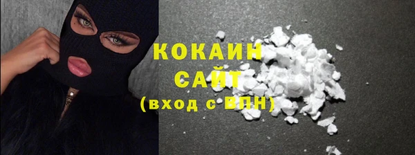 шишки Магас