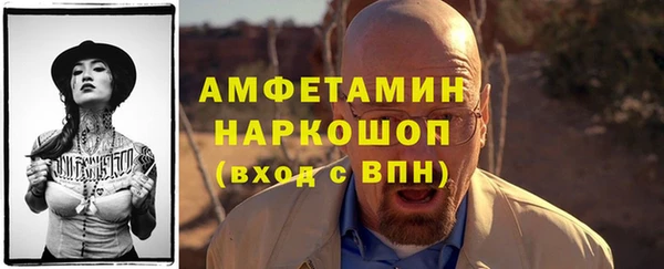 шишки Магас