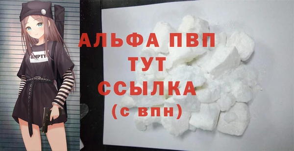 шишки Магас