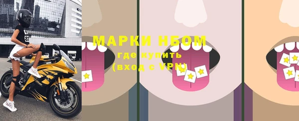 шишки Магас