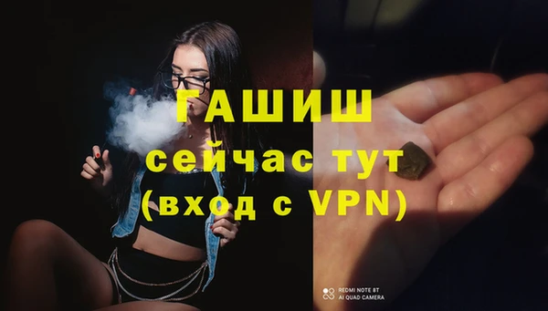шишки Магас