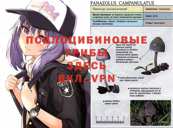 кокаин VHQ Магадан