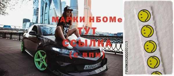 шишки Магас