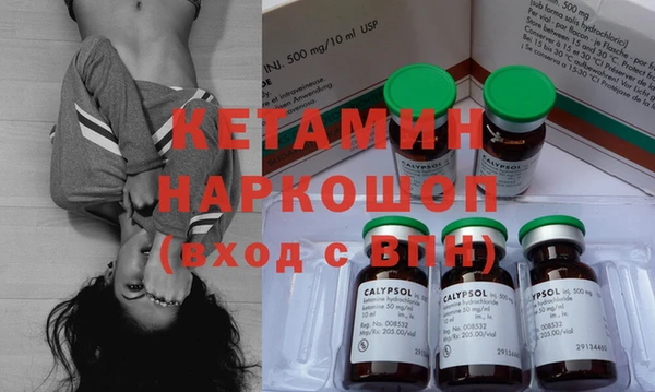 шишки Магас