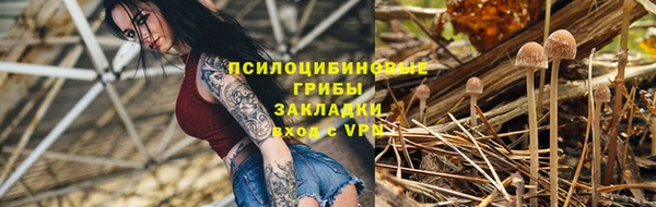 мдпв Лиски
