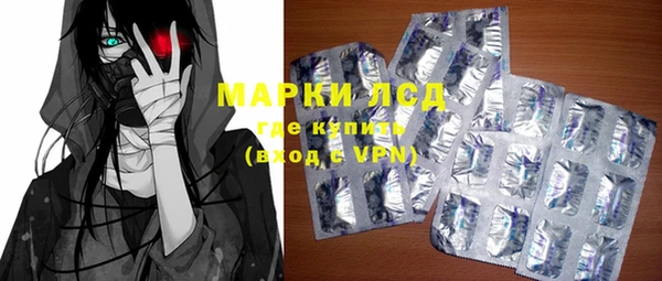 шишки Магас