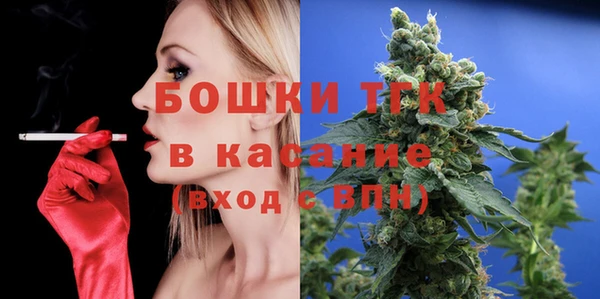 индика Рославль
